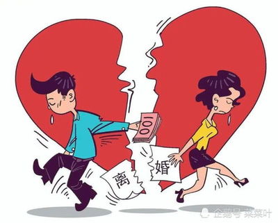 离婚律师免费