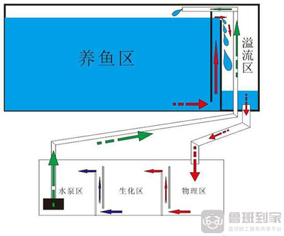 南平市延平區(qū)大自然水族館（南平市延平區(qū)大自然水族館地址）