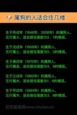 1946年五行属什么