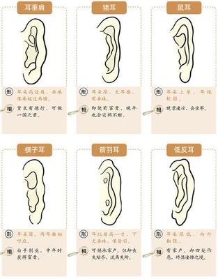 耳朵有尖角面相