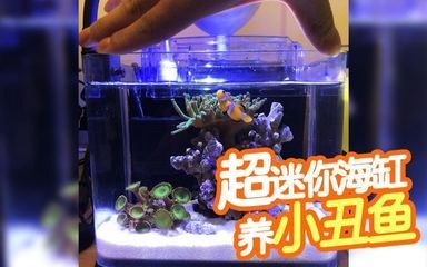 光特億p2水泵怎么樣（光特億水泵效果怎么樣）