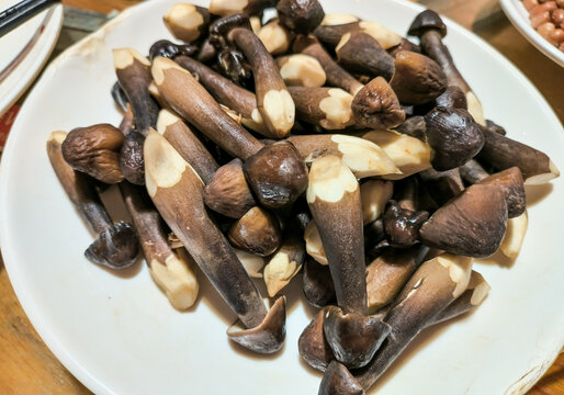 鸡枞菌 香菇 肌肉