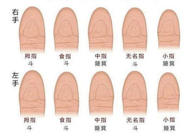 手指十个斗的男人命运
