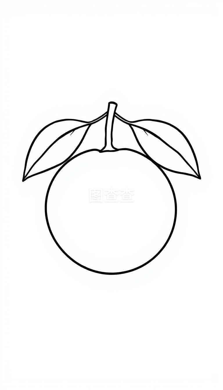 柚子简笔画