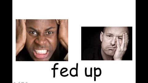 Fed up怎么读