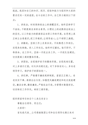 宣布任命后个人简短发言