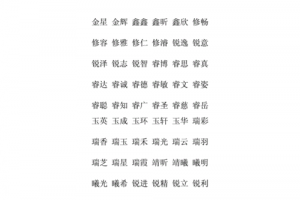 带金字旁的男孩名字有哪些