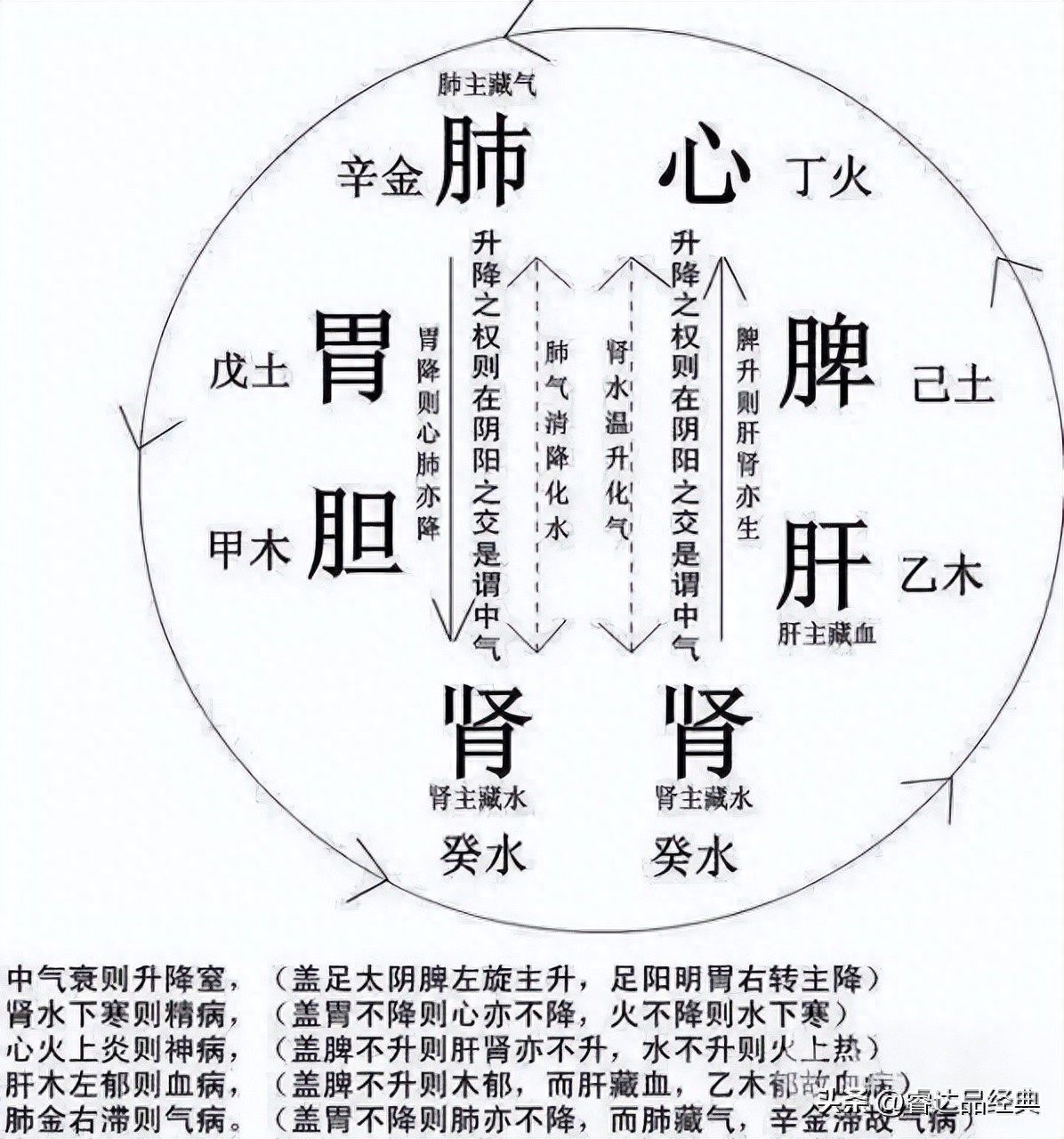 进字五行属什么