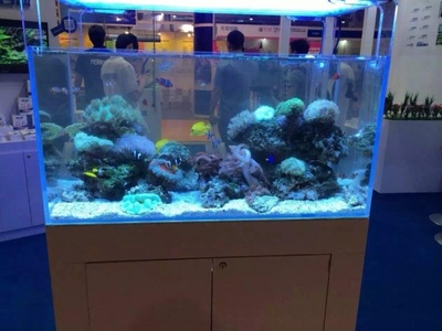 新鄭市張世營水族館 全國水族館企業(yè)名錄