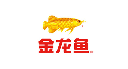 養(yǎng)龍魚加熱棒放哪里（養(yǎng)龍魚加熱棒放哪里合適）