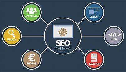 金华seo优化步骤导读:seo优化查询|2024年06月新更