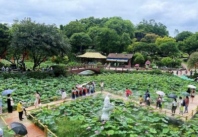 广州旅游攻略自由行