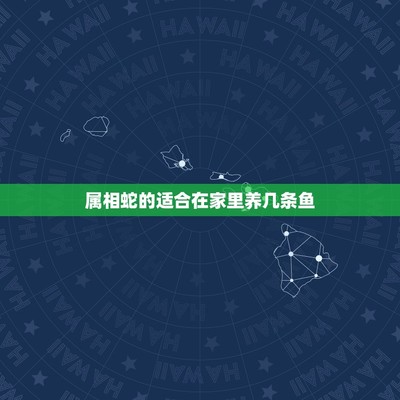 魚缸放小蘇打的比例怎么調(diào)好