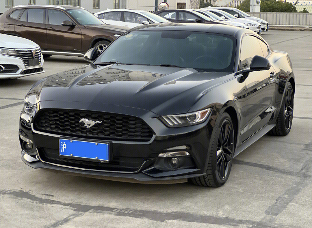 Mustang 野马