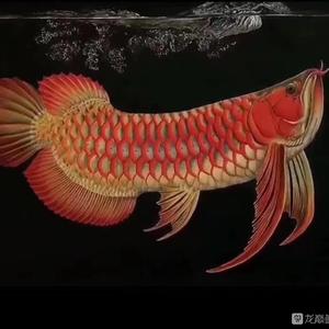 好看的淡水觀賞魚(yú)排行榜前十名（好看的淡水觀賞魚(yú)排行榜前十名圖片）