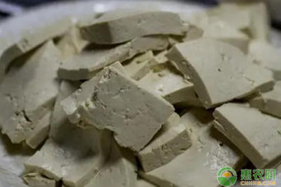 10个月可以吃豆腐吗