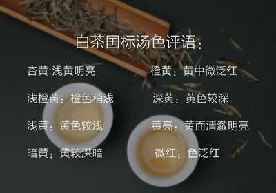 茶叶评语