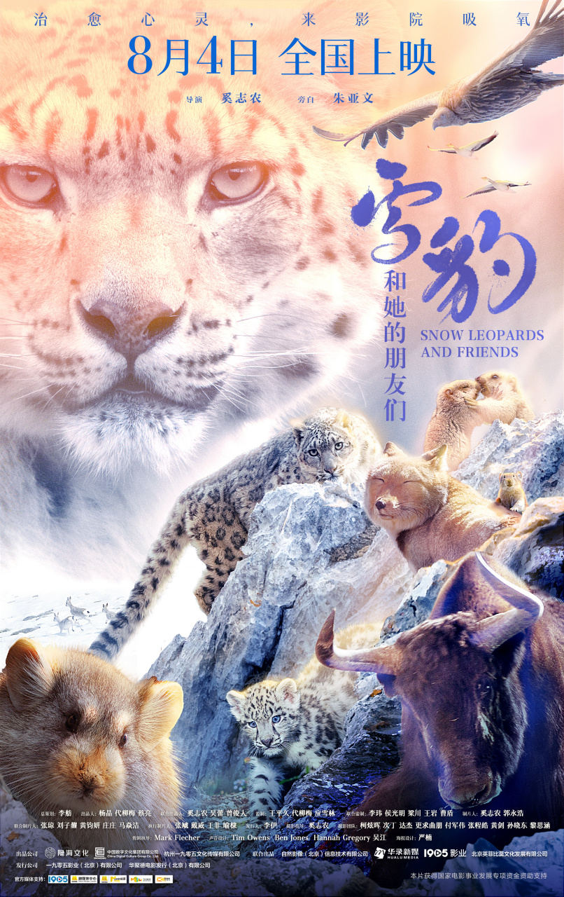 海盗女王完整版