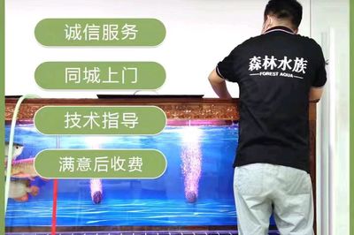 極簡風(fēng)格的魚缸造景效果圖片大全（極簡風(fēng)格的魚缸造景效果圖片大全集） 觀賞魚市場（混養(yǎng)魚）