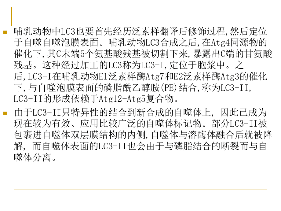 selflovebyGreatG翻译成中文