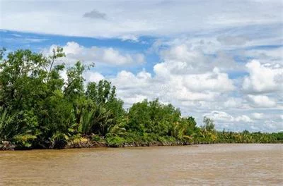 如何正确设置信息安全等级保护代理以确保数据安全？