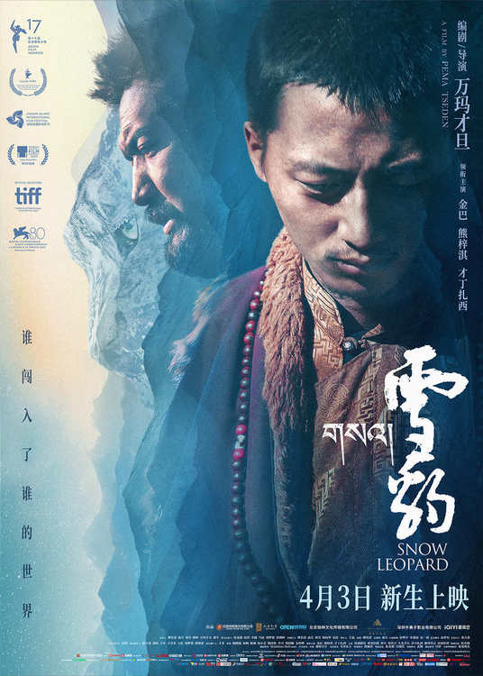 剧照