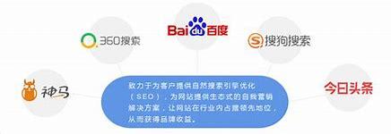 漳州seo优化服务导读:网站seo优化服务|2024年07月新更