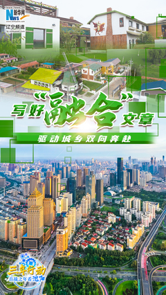 沈阳人均收入