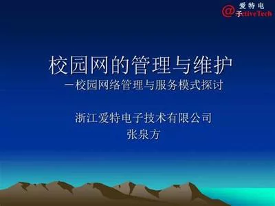 虚拟专用网络（VPN）是如何保护在线隐私和安全的？