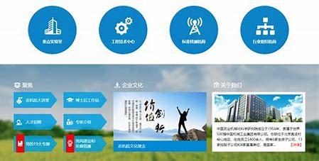 胶州网站建设优化诊断汇总:胶州公共资源服务平台|2024年07月素材