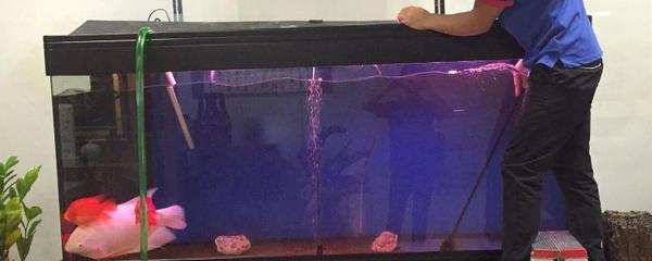 魚缸水族用品有哪些品牌的魚