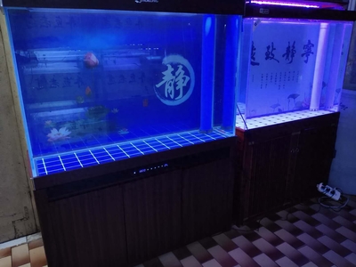 嘉峪關(guān)市正鴻鑫水族館（嘉峪關(guān)鴻鑫假日酒店）