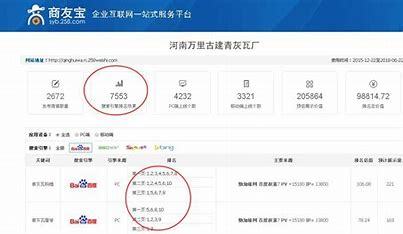 郑州seo服务(郑州seo网站排名)