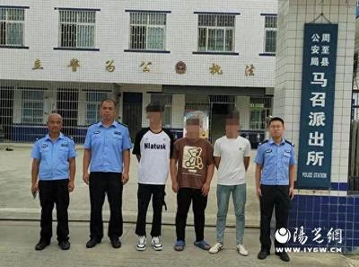团伙犯罪的量刑标准
