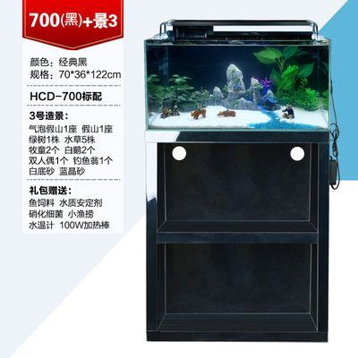 水族魚缸圖片大全欣賞視頻