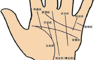 左手断掌的男人命运