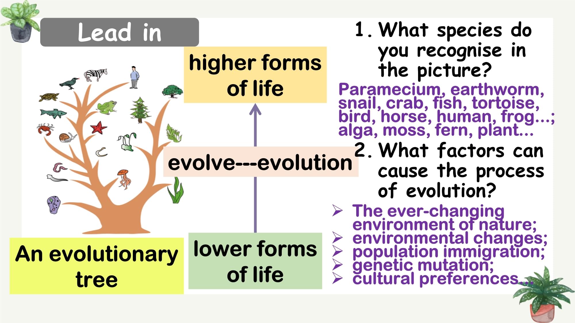 evolutionary音标
