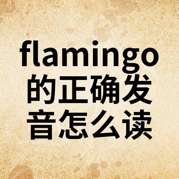flamingo的音标