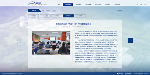 宜宾网站制作订做公司汇总:宜宾网上办公平台官网素材