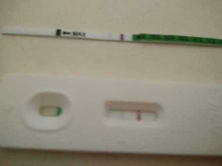 月经两个月