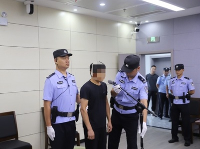 八类重大刑事案件