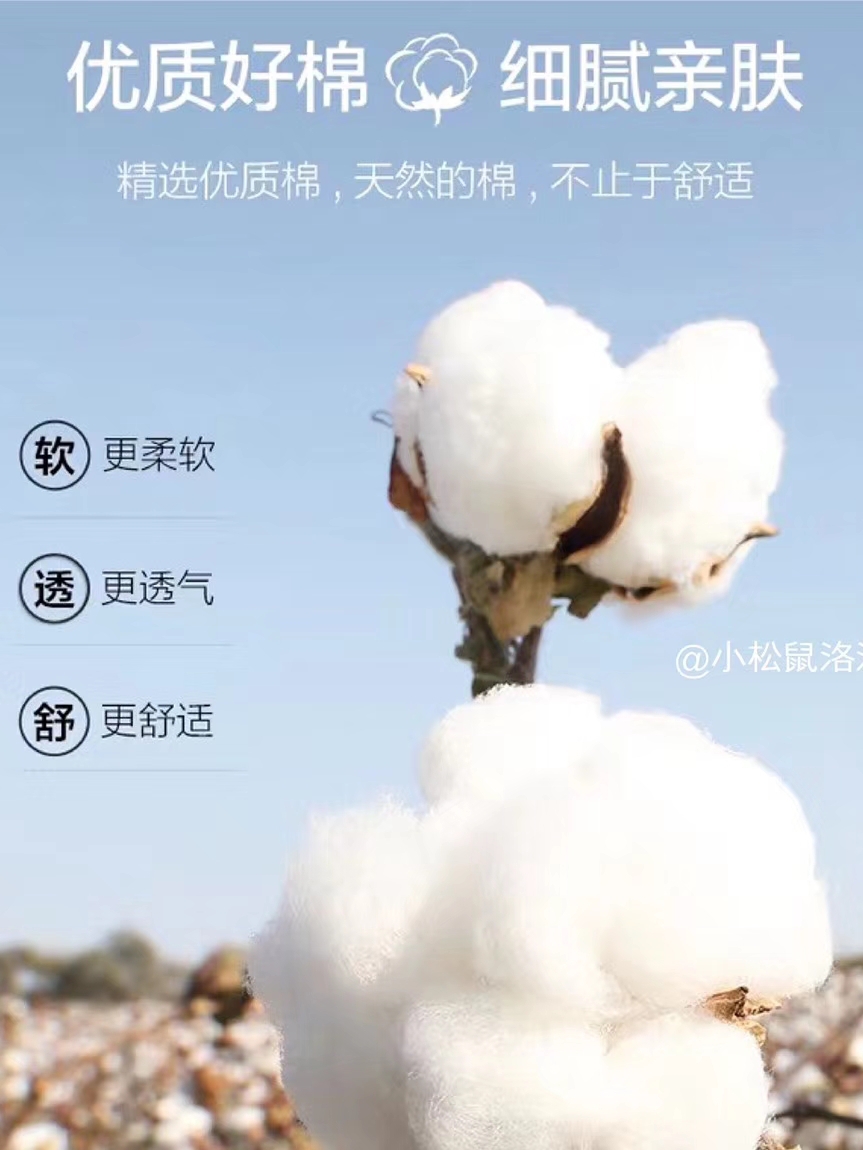 棉的分类
