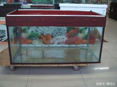 舟山龍魚酥怎么吃才好吃（舟山龍魚酥怎么吃才好吃呢） 金老虎魚