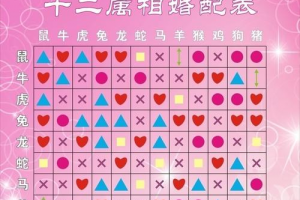 生肖婚姻配对