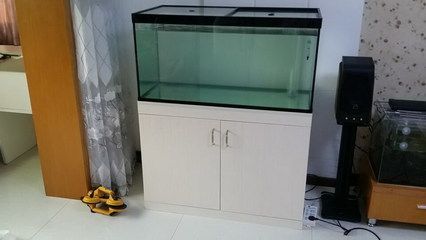 澳門魚缸售后維護(hù)公司有哪些（澳門魚缸售后維護(hù)公司有哪些品牌）