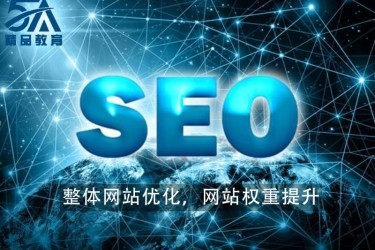 一年seo优化大揭秘:seo主要是指优化|2024年07月已更新