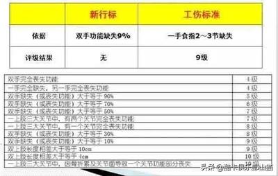 9级伤残鉴定标准