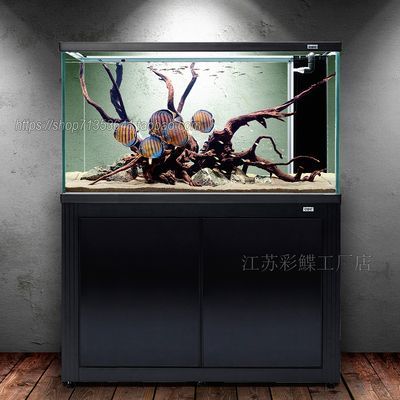 甘井子區(qū)金三角市場上善水閣水族用品店