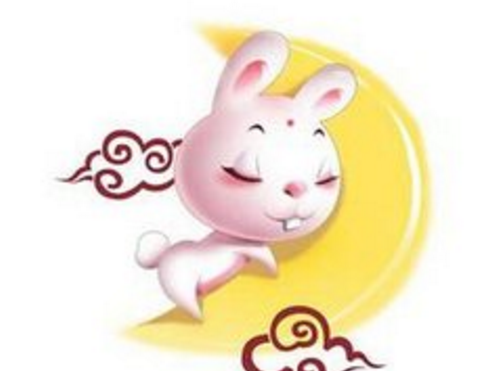 猪前兔后是什么生肖
