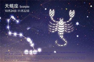 10月19日星座